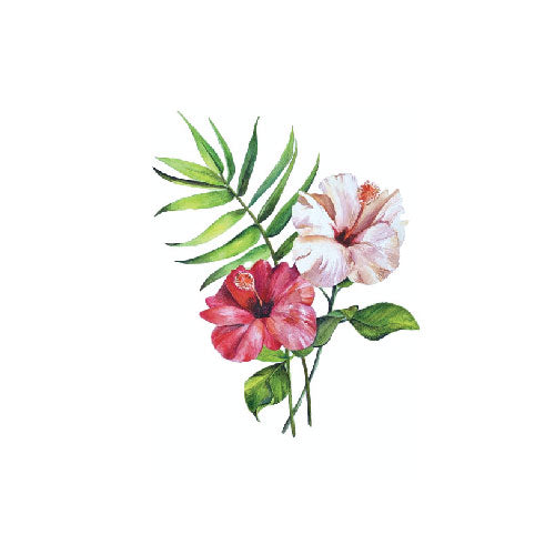 Hibiscus | Freya + Bailey Skincare