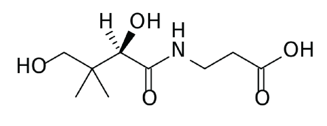 Provitamin B5 | Freya + Bailey Skincare